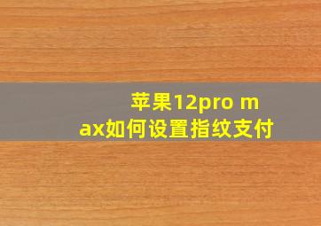 苹果12pro max如何设置指纹支付